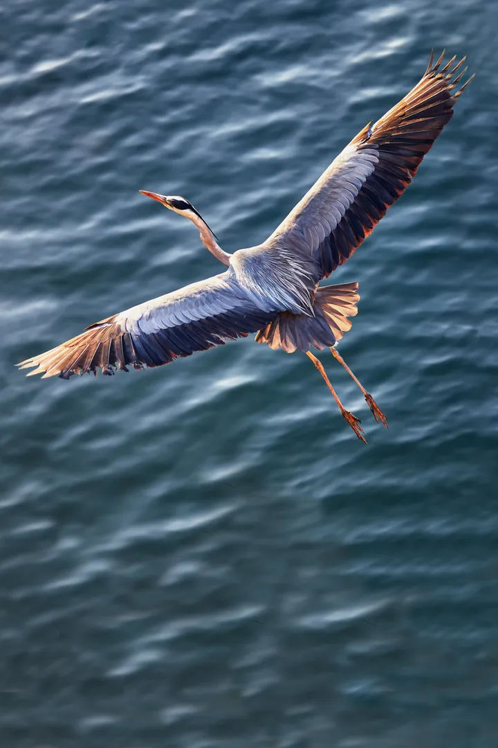 O secundă de libertate