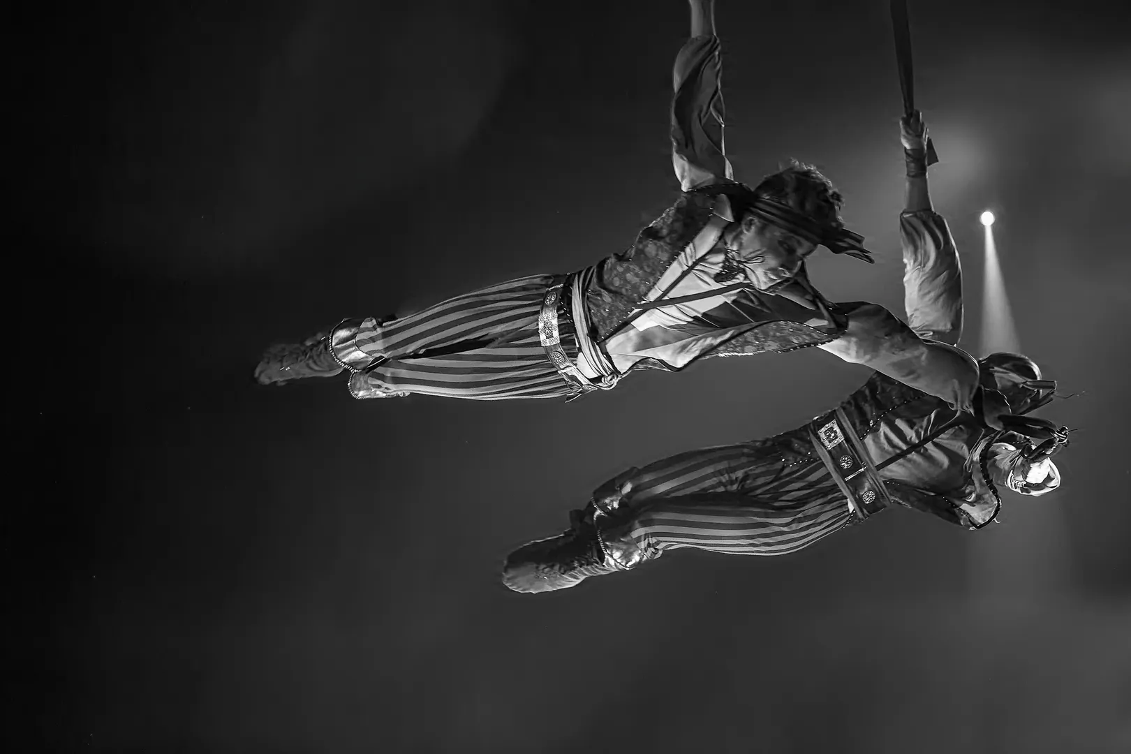Between Trust and Flight