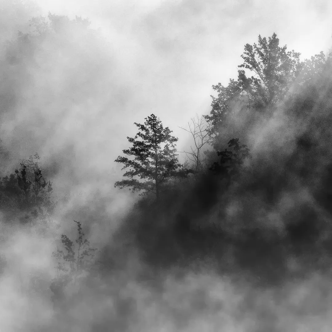 Îmbrățișarea Ceții