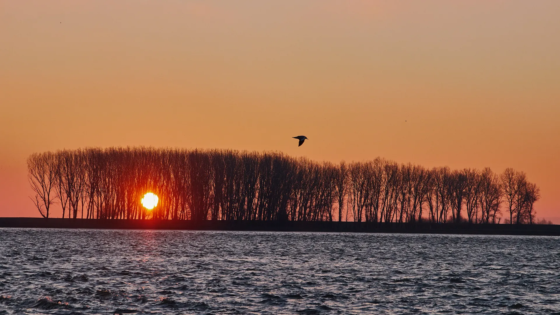 Trezirea Orizontului