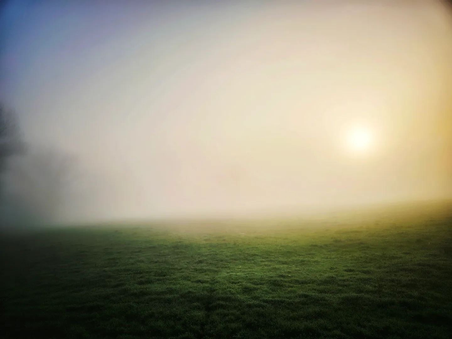 Răcoarea dimineții