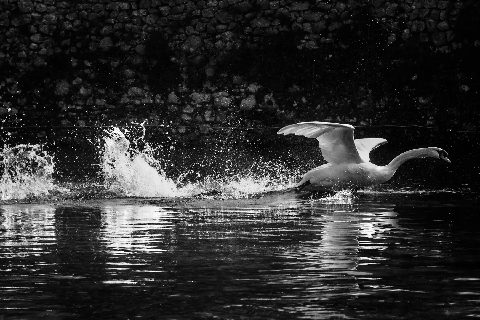 Forță în mișcare