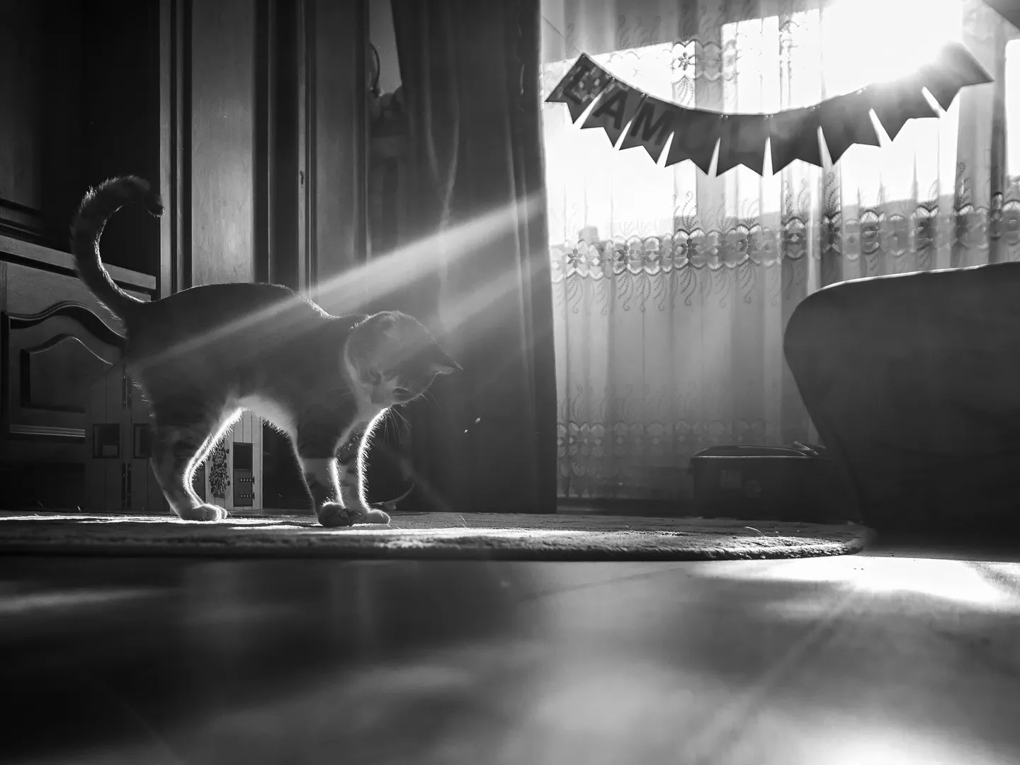 În Căutarea Soarelui