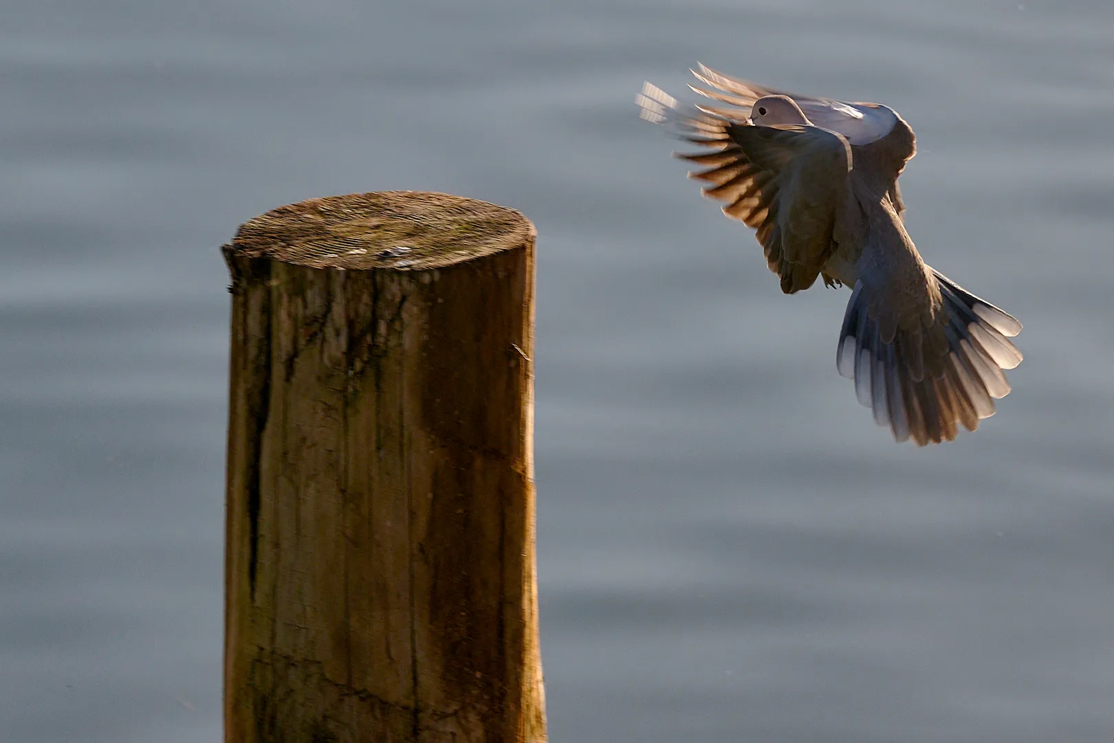 Fracțiune de secundă