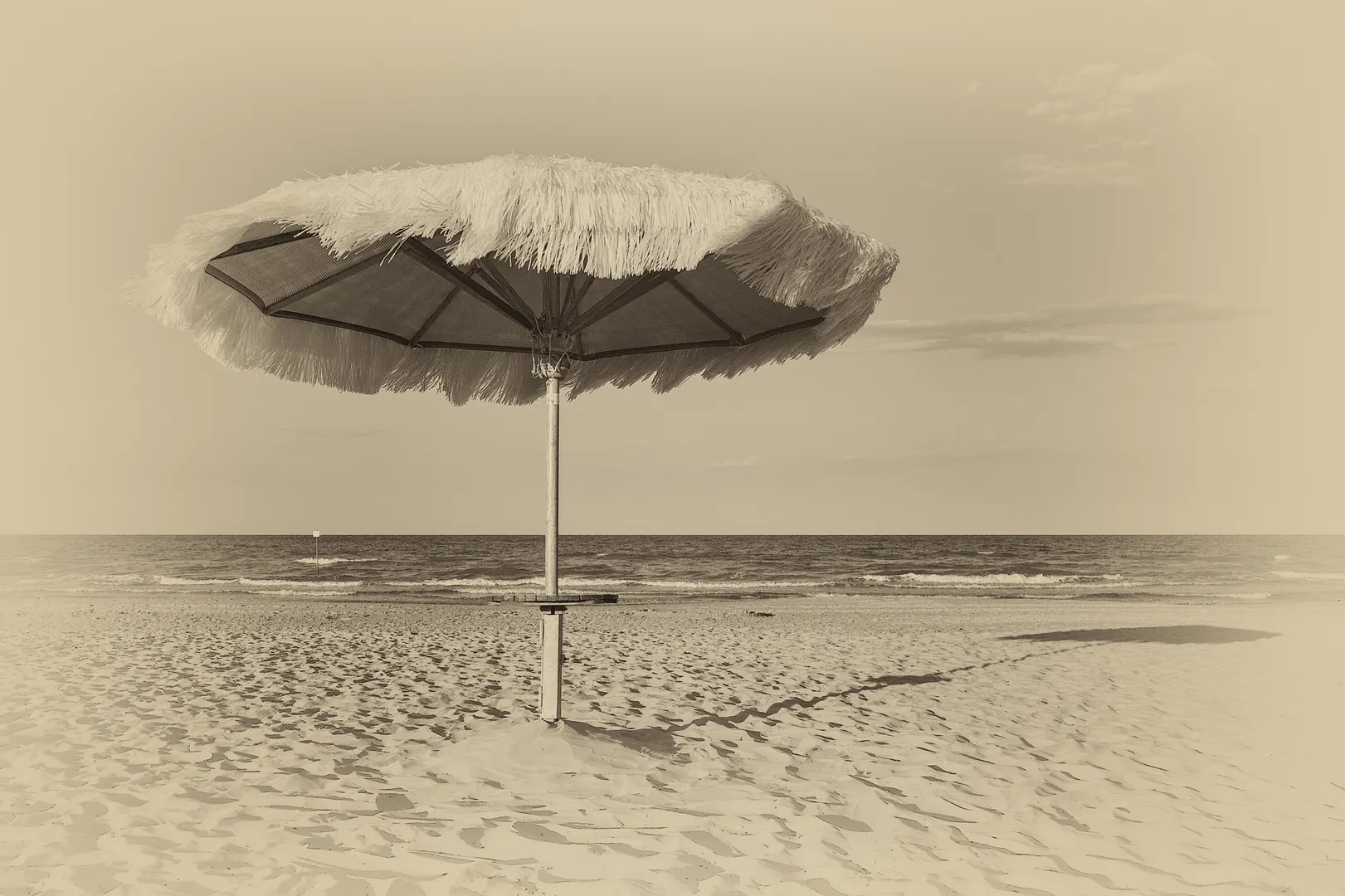 Umbra Uitată a Verii