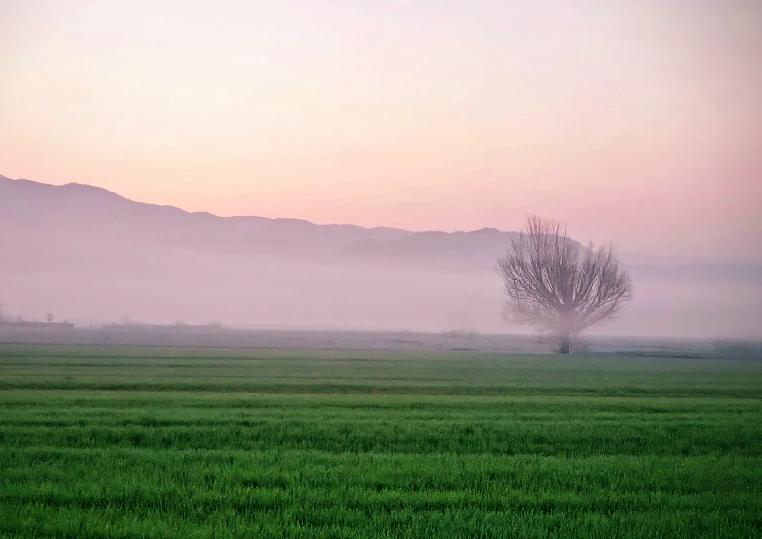 Răsplata rătăcirii
