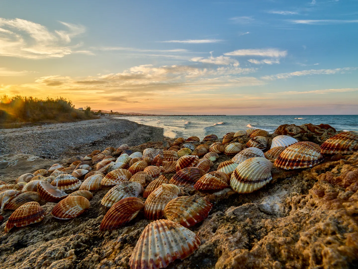 Comoara de pe stânci