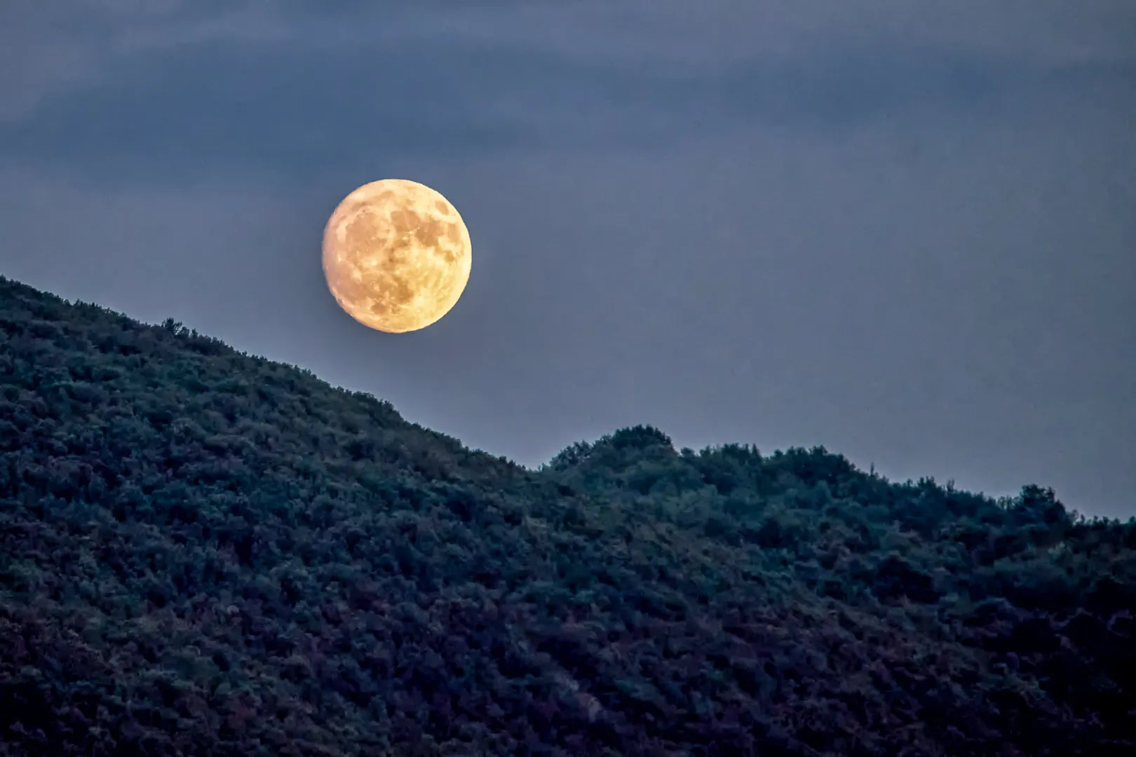 Veghea de deasupra crestei