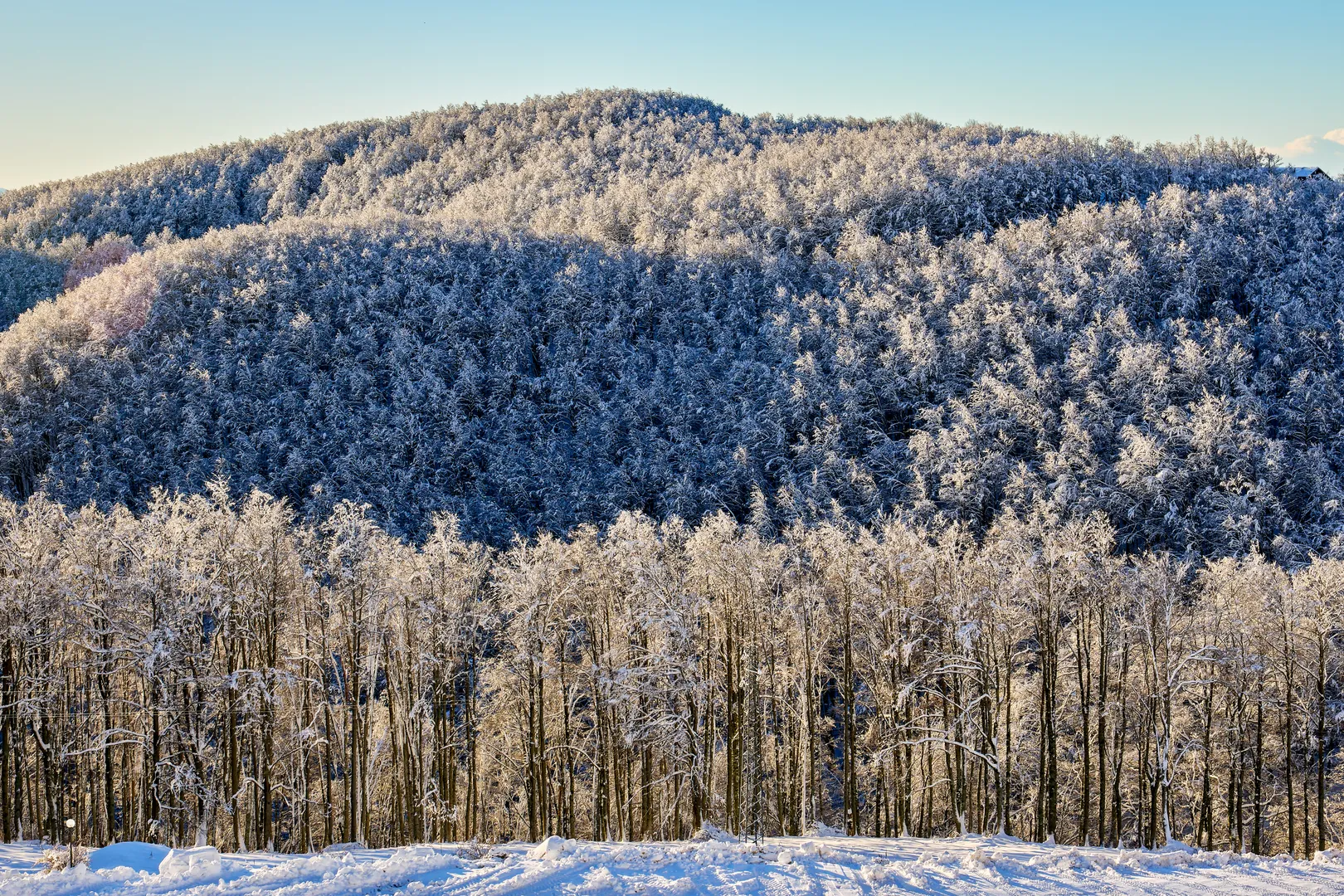 Caligrafie de Iarnă